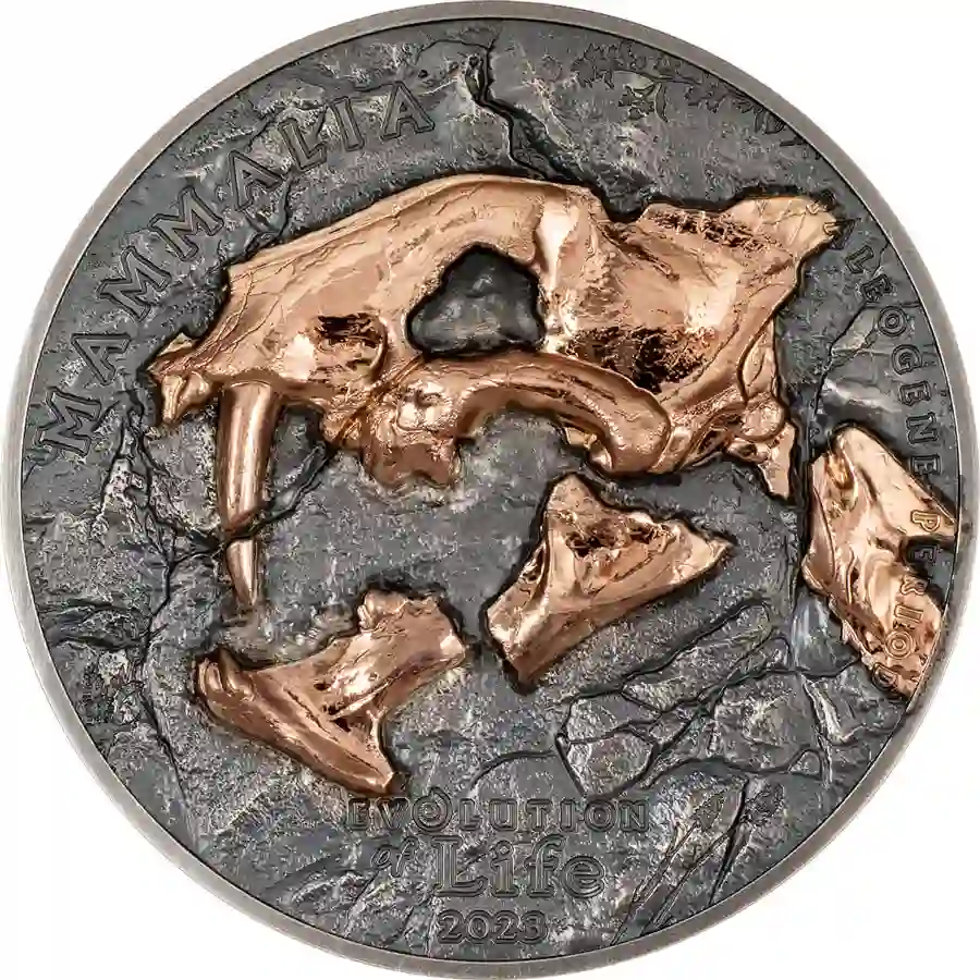 30415_Evolution-of-Life---Nimravidae_r 2023 Mongolia 1 Ounce Evolution of Life Nimravidae Gold Plated Silver Coin