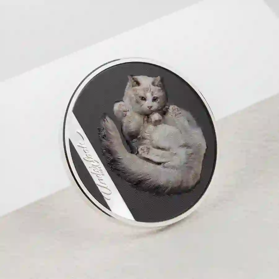 30392_Underlook---Under-Cat_s2 2024 Underlook Under-Cat High Relief Silver Proof Coin