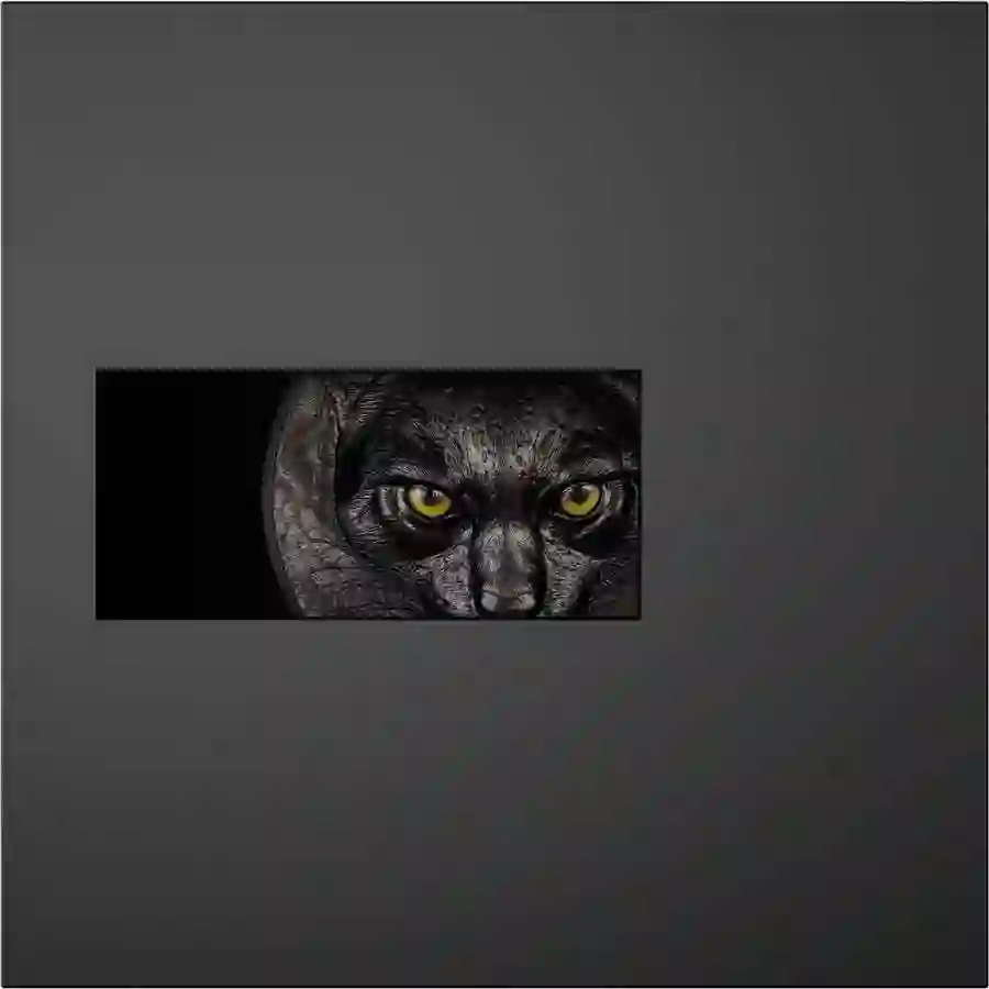 ocelot-box 2025 Ocelot Hunters By Night 1 kg Obsidian Black Silver Coin