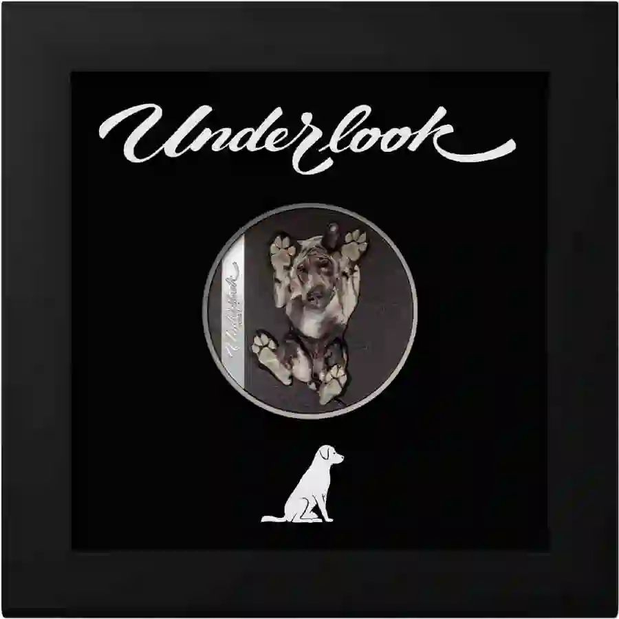 underdog-box 2025 Underlook Under-Dog High Relief Silver Proof Coin