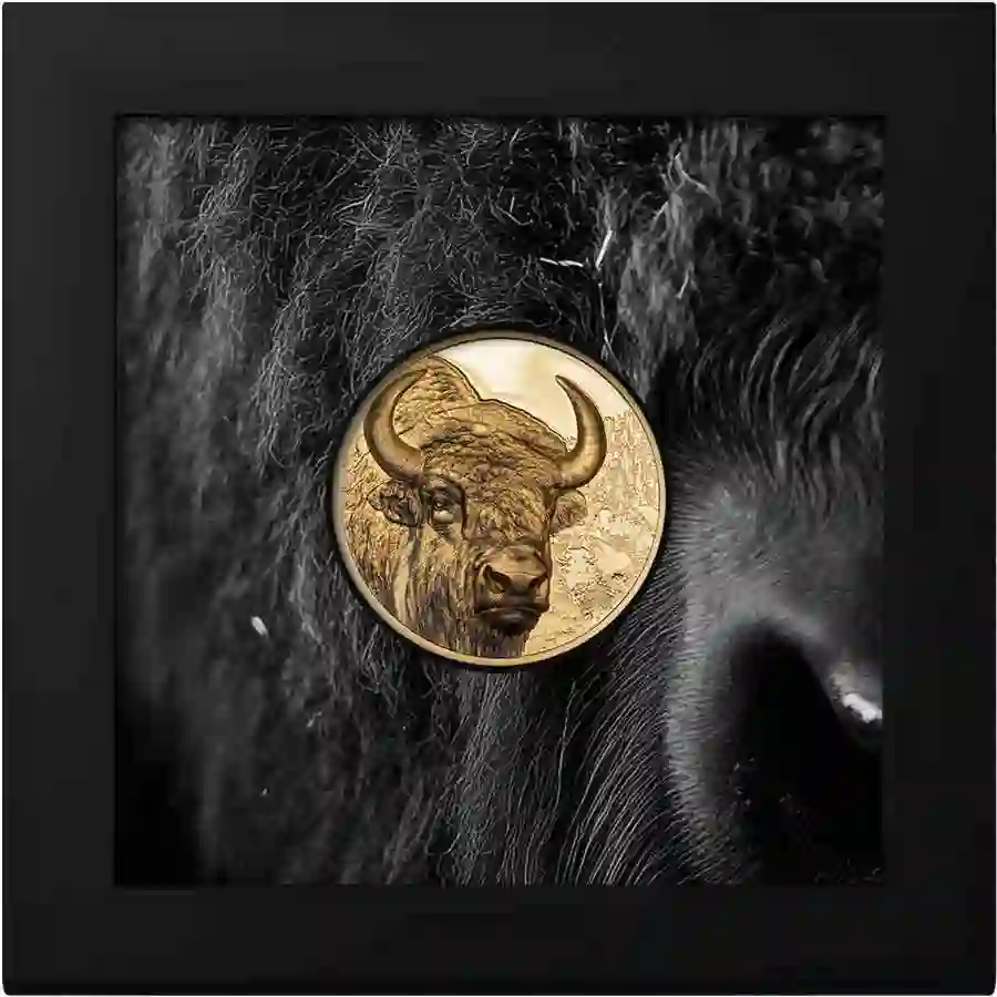 bison-gold-box 2025 Bison Colored Ultra High Relief Gold Proof Coin