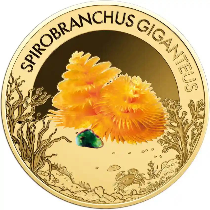 03614461_Spirobranchus-giganteus Republic of Chad 1/1000 Ounce Spirobranchus Giganteus Gold Coin