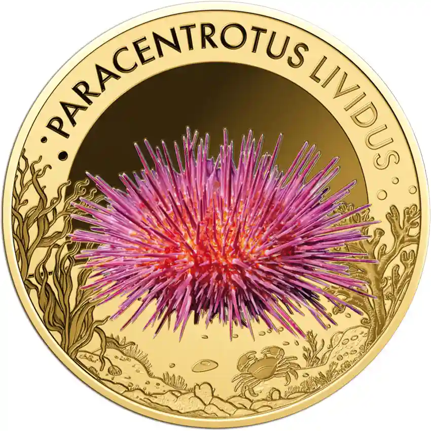 sea-urchin-rev Republic of Chad 1/1000 Ounce Paracentrotus Lividus Gold Coin