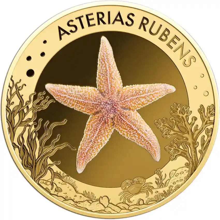 starfish-rev Republic of Chad 1/1000 Ounce Common Starfish Gold Coin