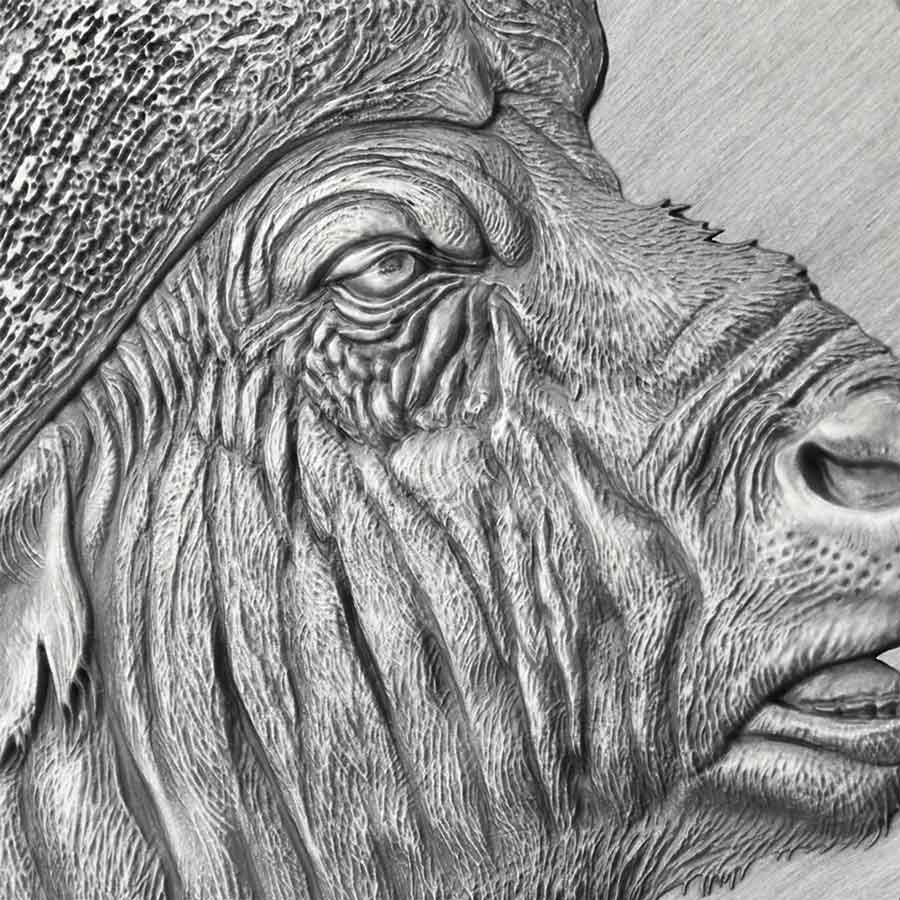 2022 Cameroon 2 oz African Buffalo Expressions of Wildlife High Relief Antique Finish Silver Coin 2022 Cameroon 2 oz African Buffalo Expressions of Wildlife High Relief Antique Finish Silver Coin