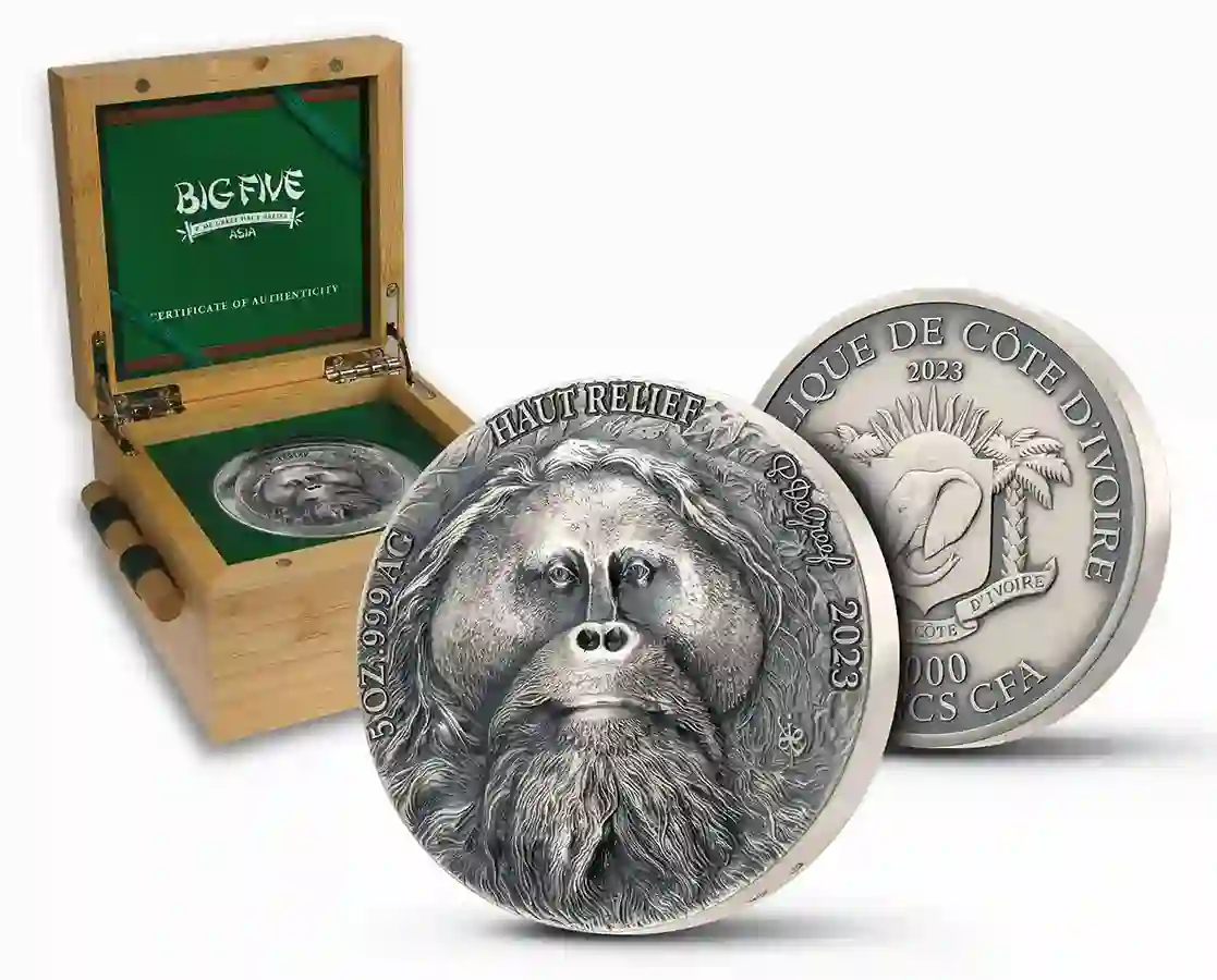 DAILY COIN AND CARD HOLDER未来研究所 黒本5 白本5 和柄 金襴 コイン＆カードケース (財布) | ダーツケース・グッズ
