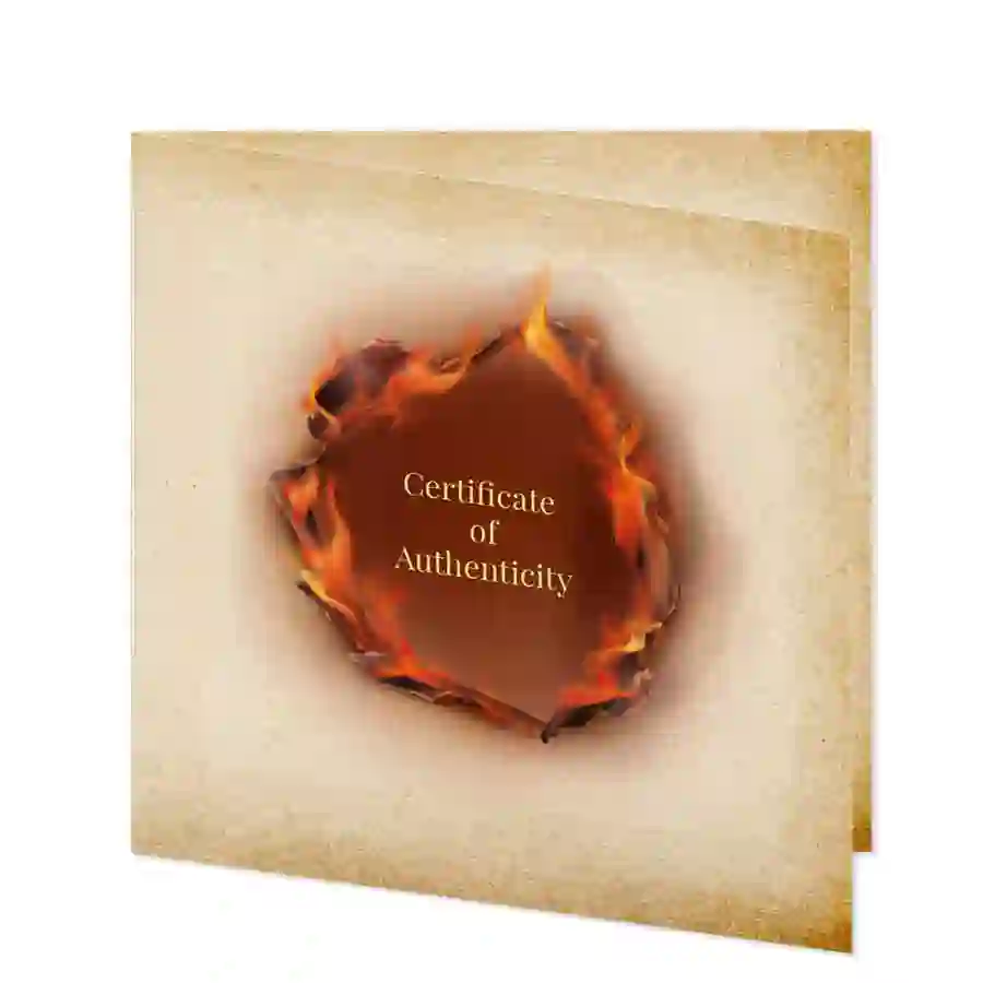 phoenix-cert 2024 Phoenix Ascendant Metallic Color Silver Coin
