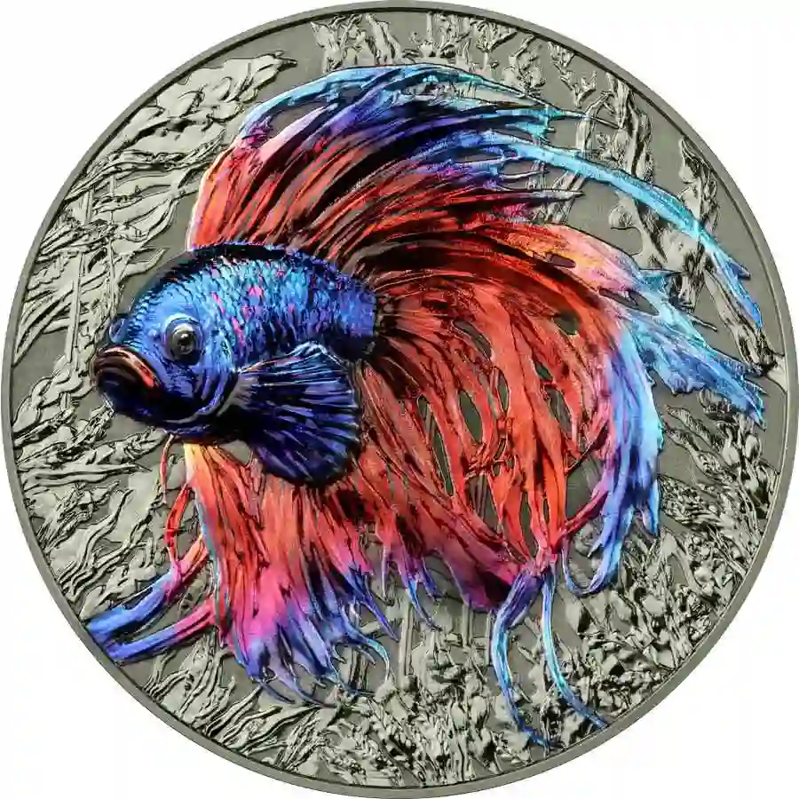 rev 2024 Niue 2 Ounce Representatives of the Species Betta Fish UHR Silver Coin
