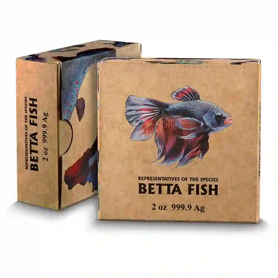 wrapper 2024 Betta Fish Representatives of the Species Silver Coin