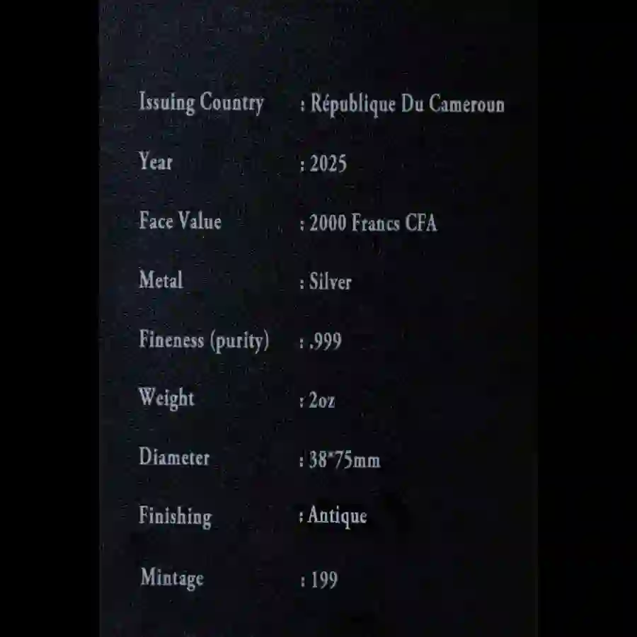 cert Guitar of Angel Silver Coin