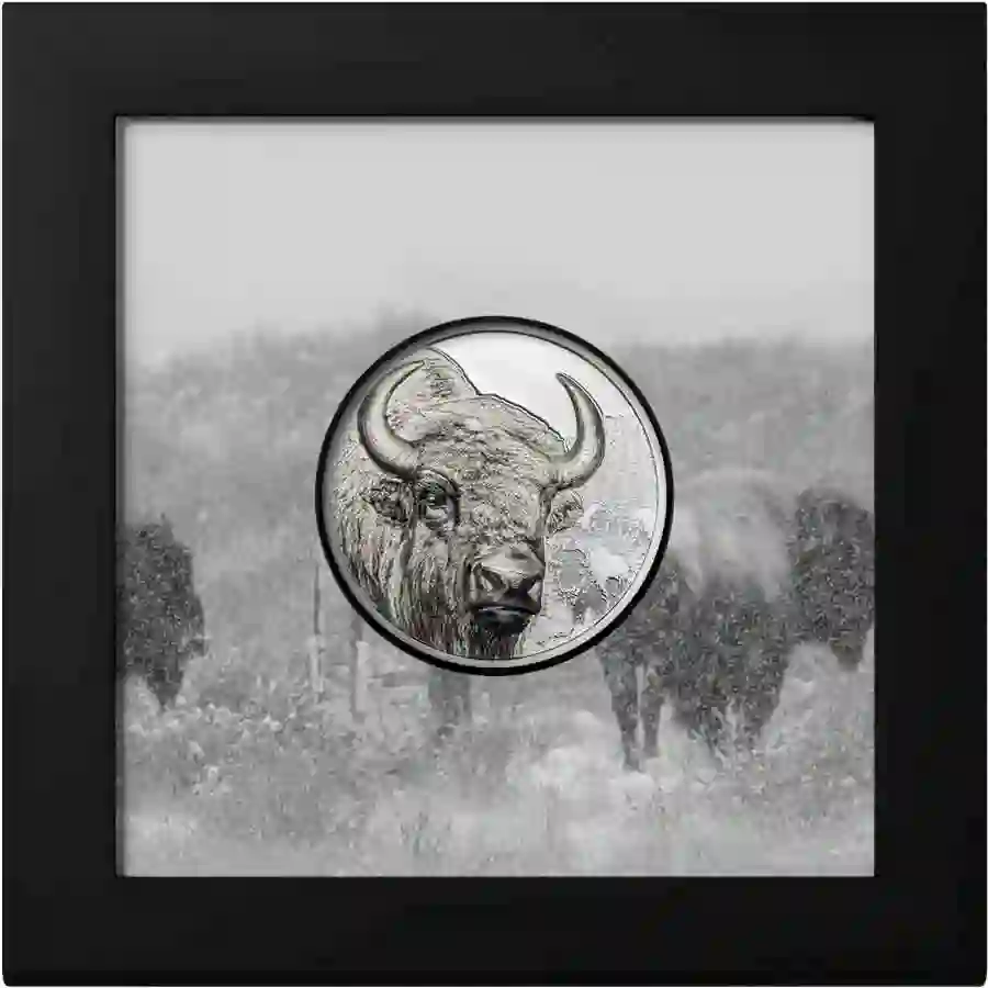 bison-1-oz-box 2025 Bison Ultra High Relief Silver Proof Coin