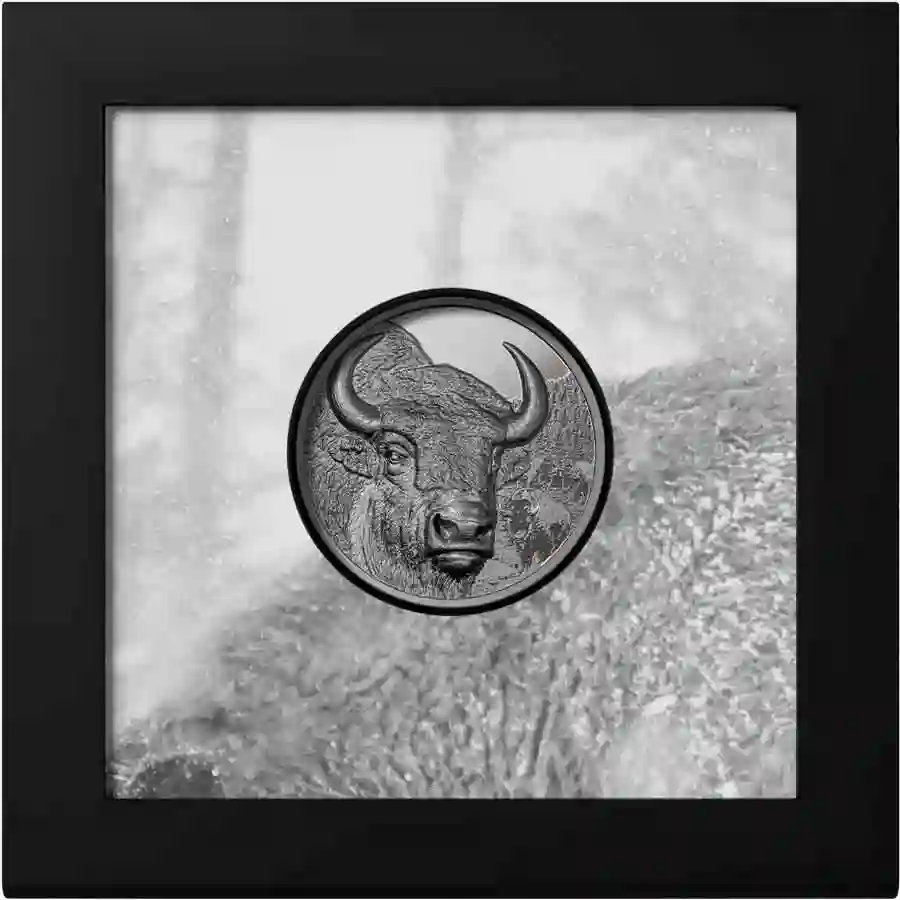 bison-bp-box 2025 Mongolia Bison Ultra High Relief Black Proof Silver Coin
