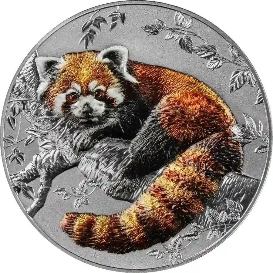 rpanda-rev 2025 Niue 2 Ounce Representatives of the Species Red Panda HR Silver Coin