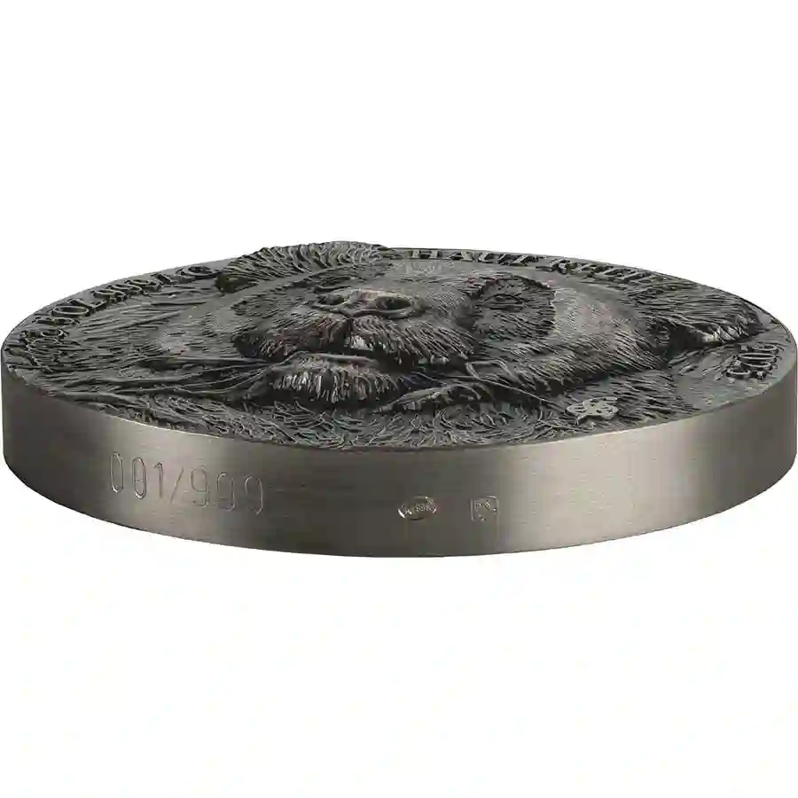 panda-iso 2024 Ivory Coast Giant Panda Ultra High Relief Silver Coin