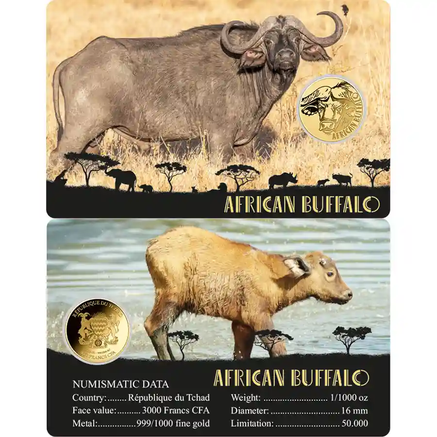 buffalo-card Republic of Chad 1/1000 Ounce African Big Five Buffalo Gold Coincard