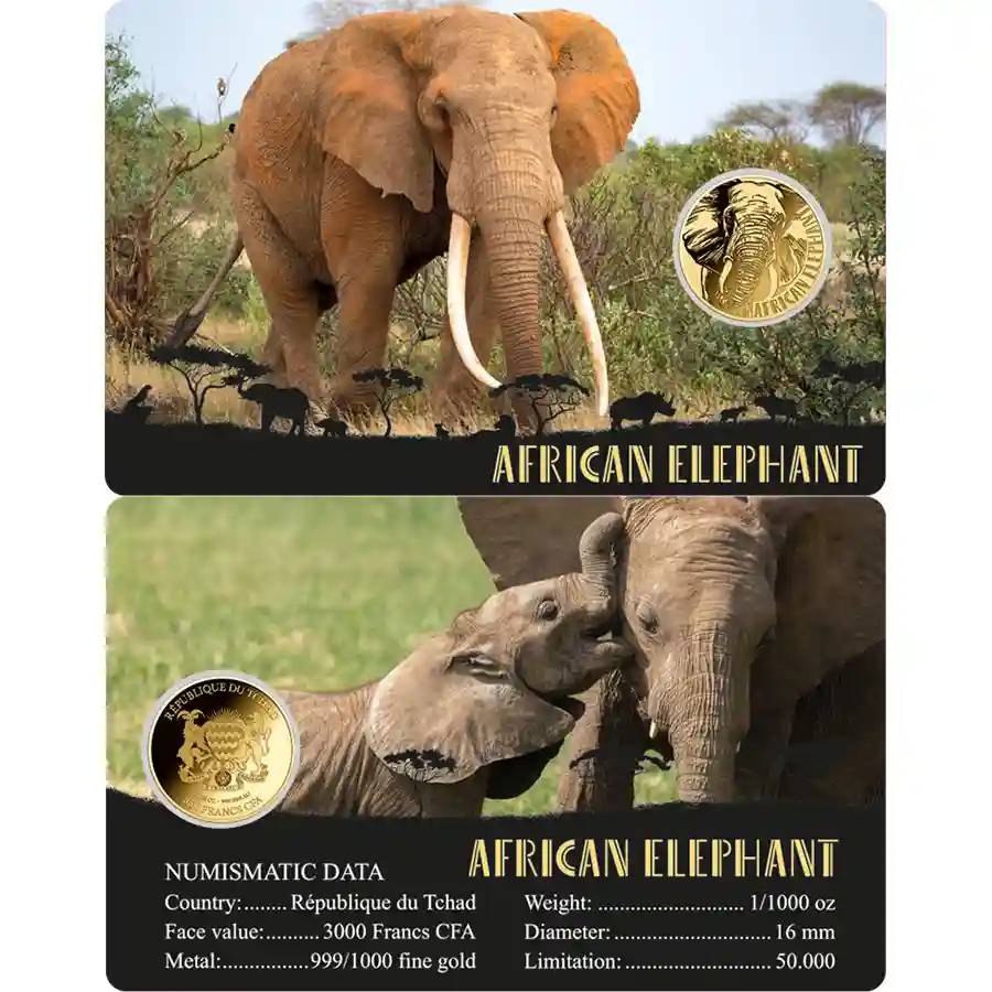 elephant-card Republic of Chad 1/1000 Ounce African Big Five Elephant Gold Coincard