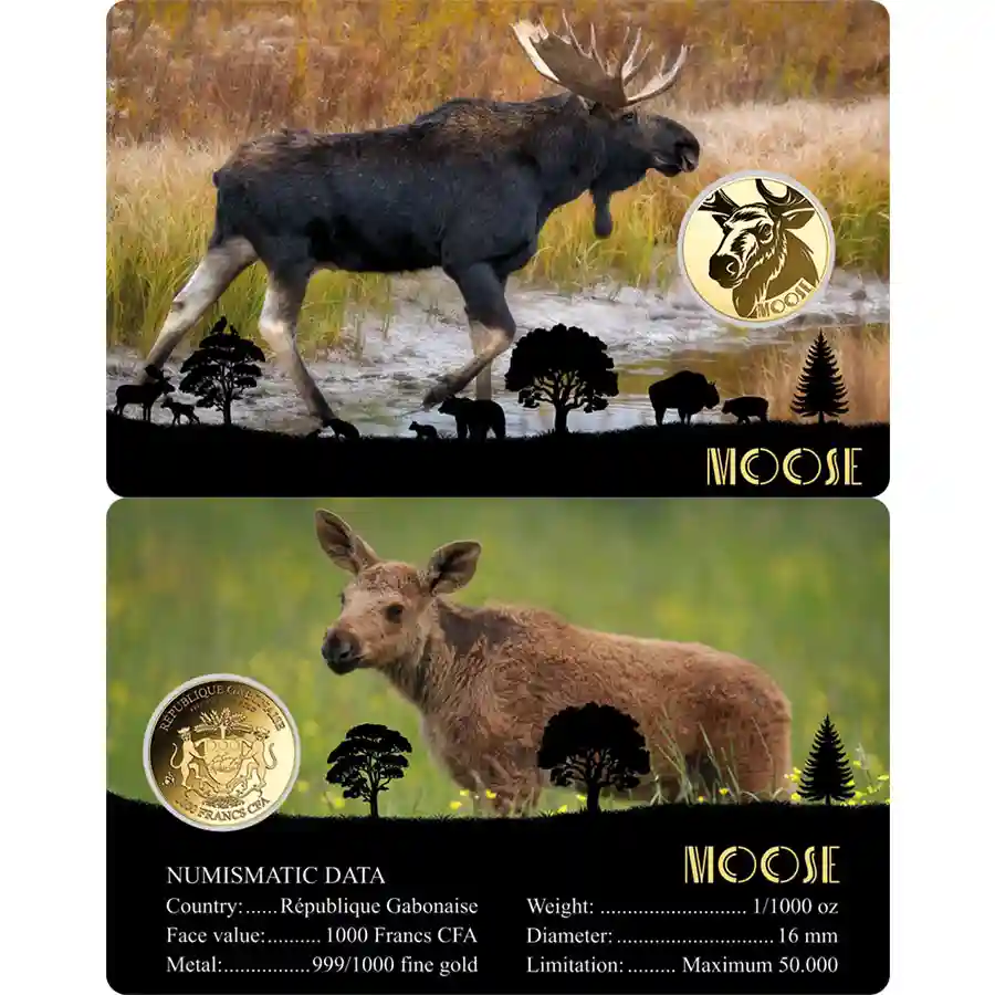 moose-card Republic of Gabon 1/1000 Ounce American Big Five Moose Gold Coincard