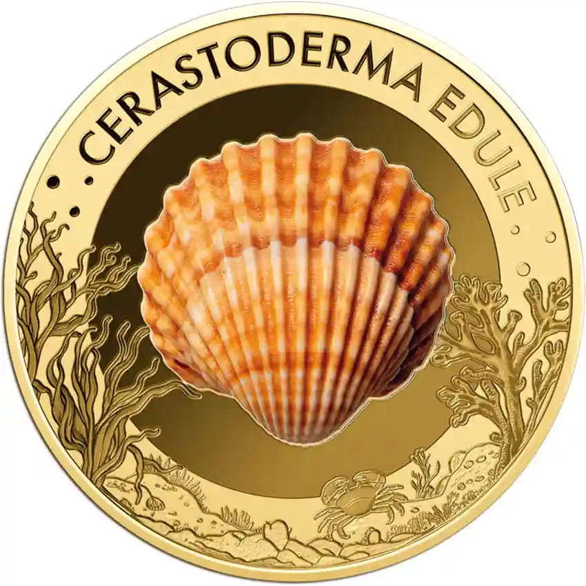clam-rev Republic of Chad 1/1000 Ounce Cerastoderma Edule Gold Coin