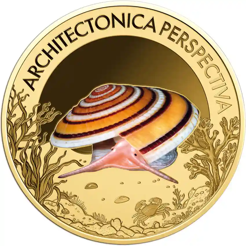 sundial-shell-mollusk-rev Republic of Chad 1/1000 Ounce Architectonica Perspectiva Gold Coin