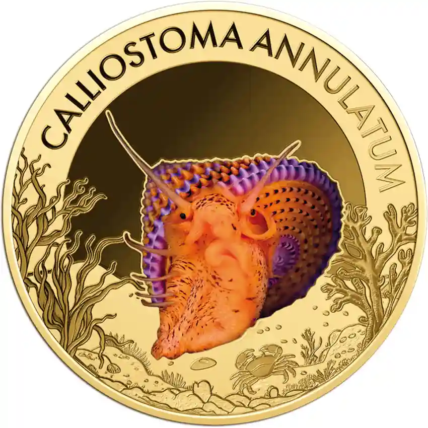 top-snail-rev Republic of Chad 1/1000 Ounce Calliostoma Annulatum Gold Coin